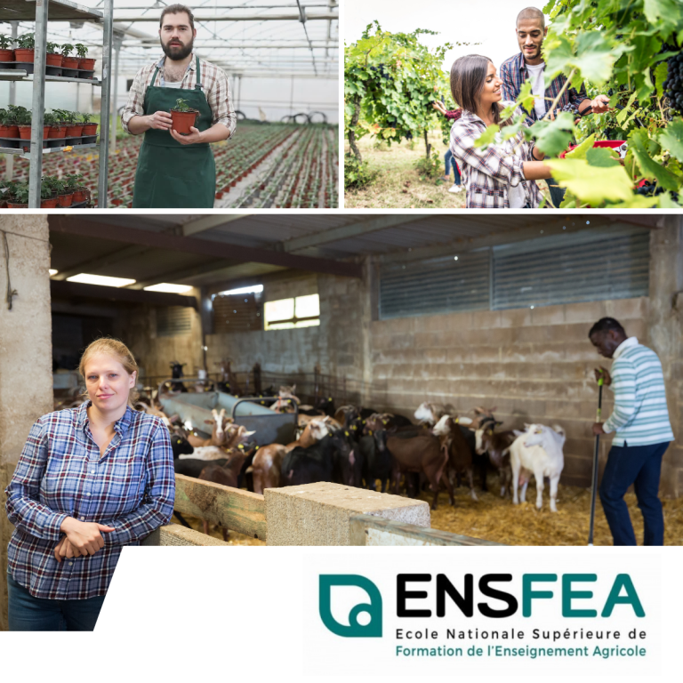 La Fondation accompagne l'ENSFEA à la préparation des futurs enseignants de l'enseignement agricole dans leur mission d'aide à l'orientation